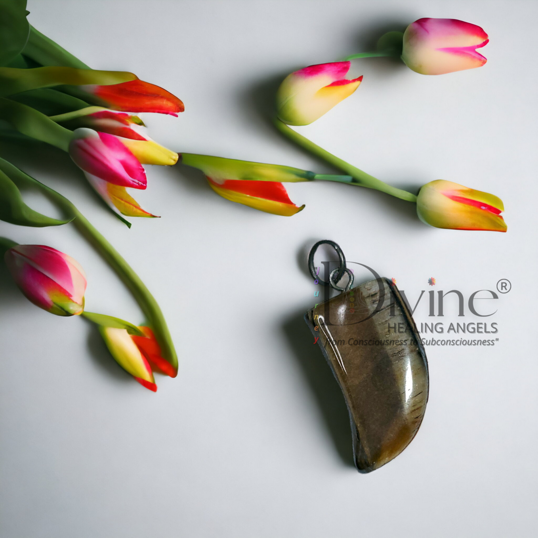 TIGER EYE PENDANT-HORN SHAPE